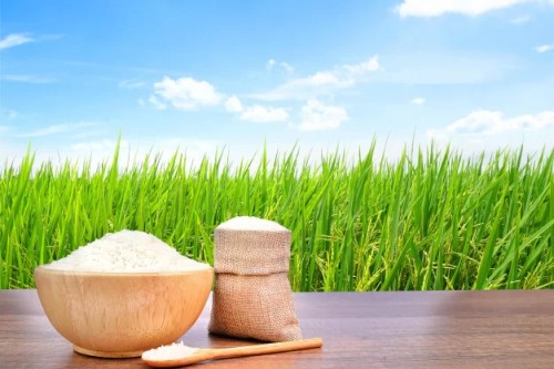 How Important Is Rice In Indian Cuisine How Important Is Rice In Indian Cuisine